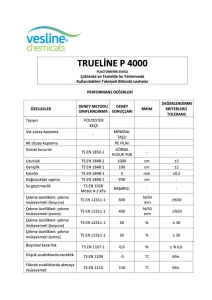 TRUELINE P 4000