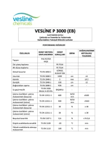 VESLİNE P 3000 (-20)