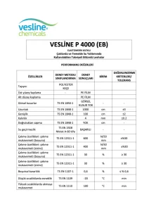 VESLINE P 4000 (-10)