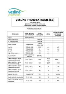 VESLINE P 4000 EXTREME