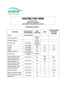VESLİNE PAR 4000 (-20)
